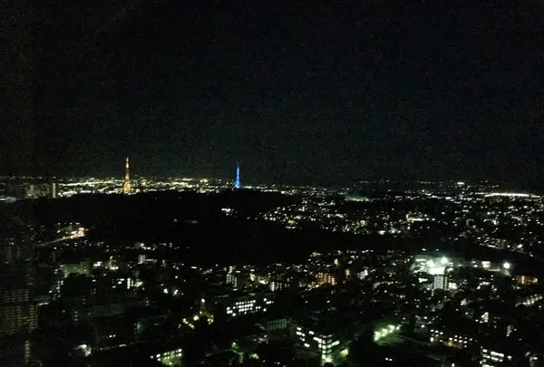 ウェスティンホテル仙台の写真・動画_image_209381