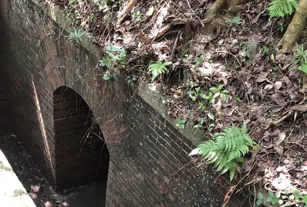 第三砲台跡の写真・動画_image_209427