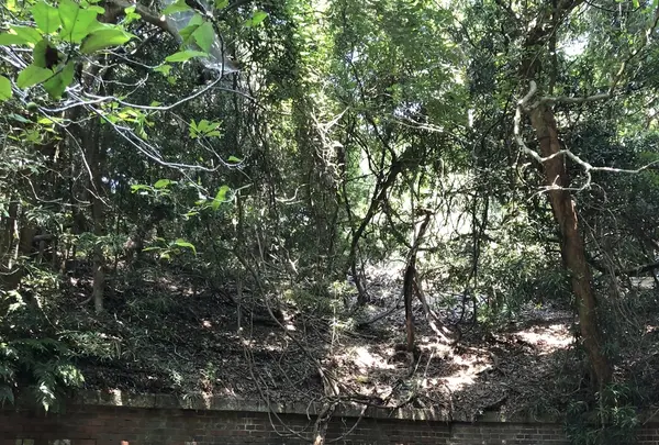 第三砲台跡の写真・動画_image_209428