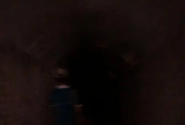 第三砲台跡の写真・動画_image_209485