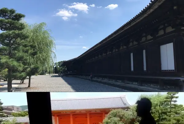 蓮華王院 三十三間堂の写真・動画_image_209564