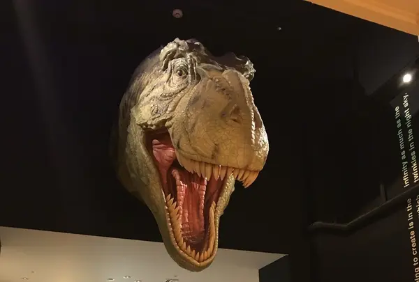 海洋堂フィギュアミュージアム黒壁の写真・動画_image_209599