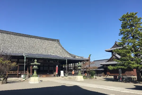 長浜別院 大通寺の写真・動画_image_209601