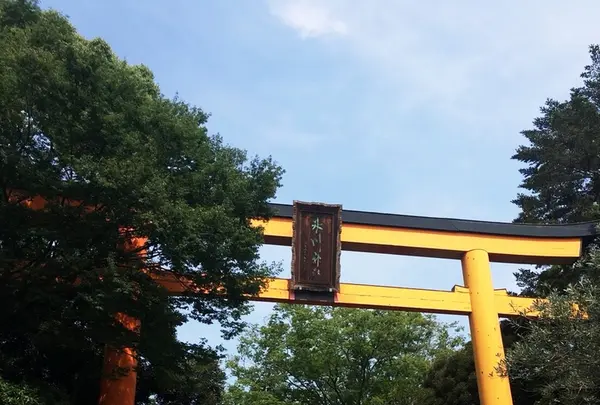 川越氷川神社の写真・動画_image_209613