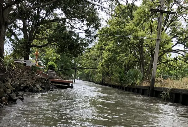 Damnoen Saduak Floating Market（ダムヌンサドアック水上マーケット）の写真・動画_image_209654