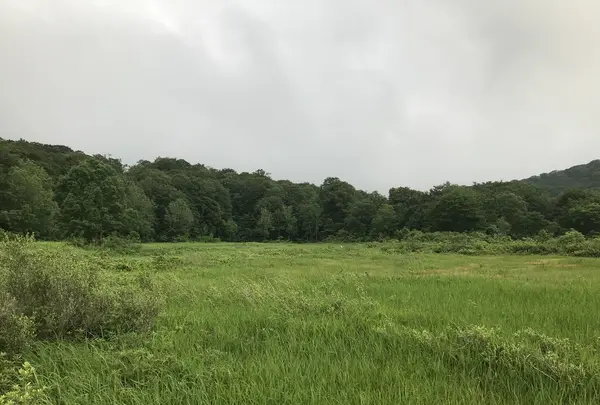 十和田八幡平国立公園の写真・動画_image_209700