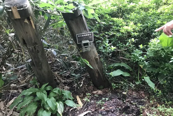 十和田八幡平国立公園の写真・動画_image_209702