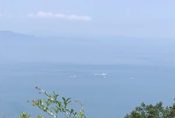 タカノス山展望台の写真・動画_image_209892