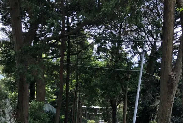伊豆山神社の写真・動画_image_209933