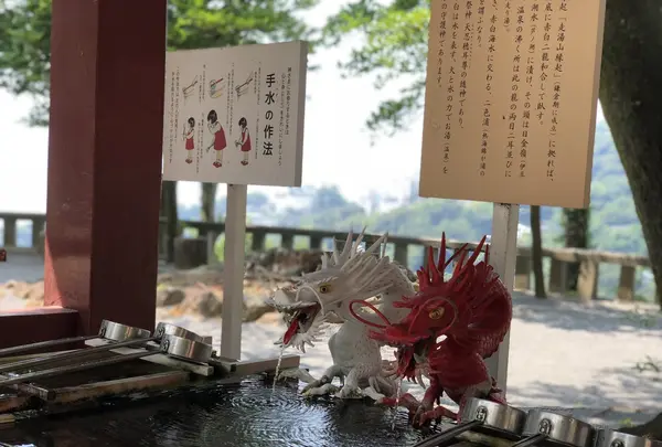 伊豆山神社の写真・動画_image_209938