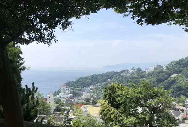 伊豆山神社の写真・動画_image_209940