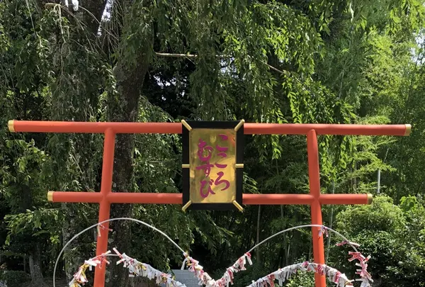 伊豆山神社の写真・動画_image_209942