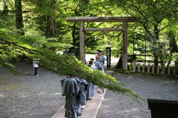 大原神社の写真・動画_image_210144