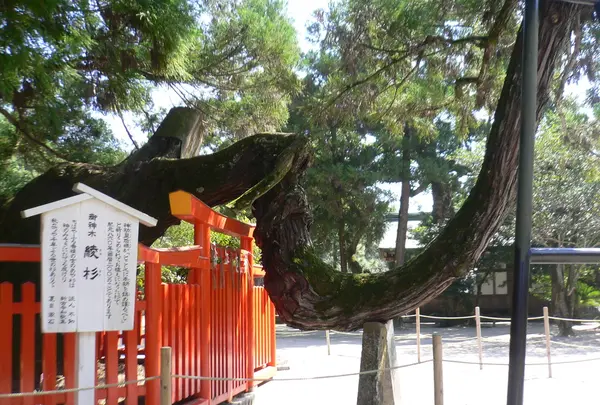 香椎宮の写真・動画_image_210150