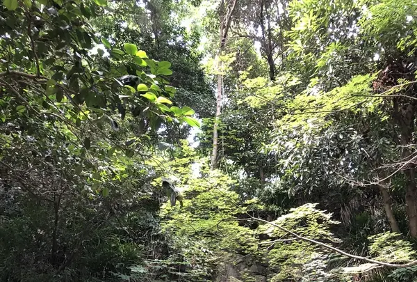鎌倉文学館の写真・動画_image_210186