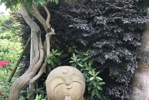 長谷寺の写真・動画_image_210203