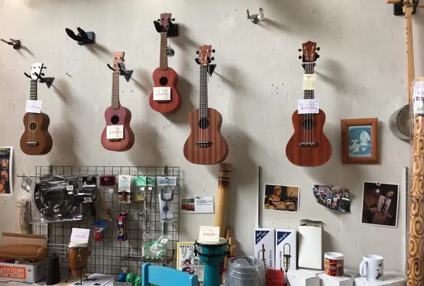 ㈱博信堂の写真・動画_image_210391