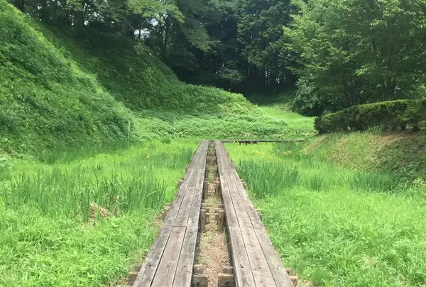 桔梗城（茂木城）跡の写真・動画_image_210426