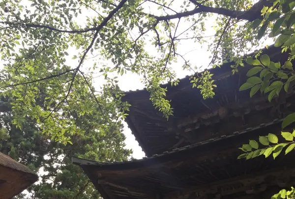 西明寺の写真・動画_image_210439