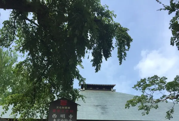 西明寺の写真・動画_image_210441