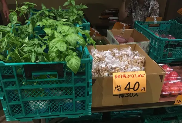 別所温泉 相染閣「あいそめの湯」の写真・動画_image_210458