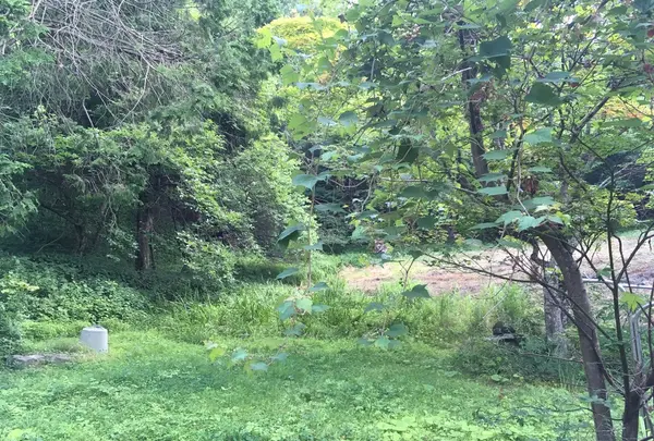 杏庵－にしだの写真・動画_image_210460