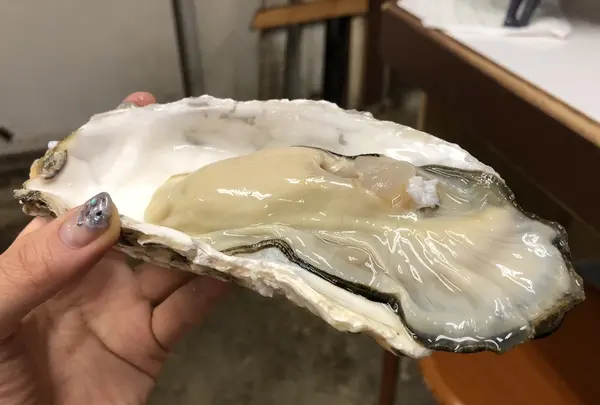 三角市場の写真・動画_image_210725