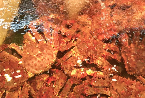 三角市場の写真・動画_image_210726