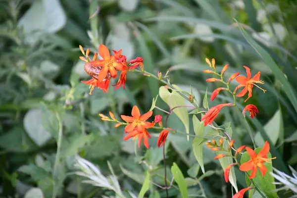 余呉湖の写真・動画_image_210818