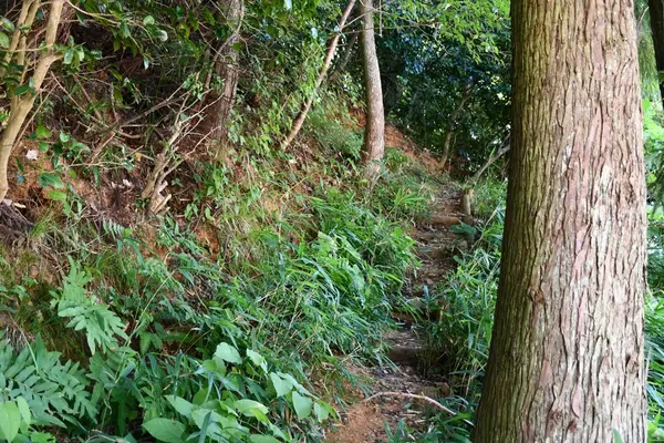 余呉湖の写真・動画_image_210830