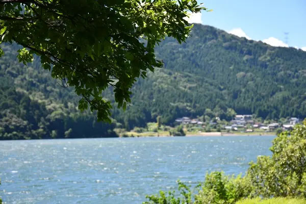 余呉湖の写真・動画_image_210839