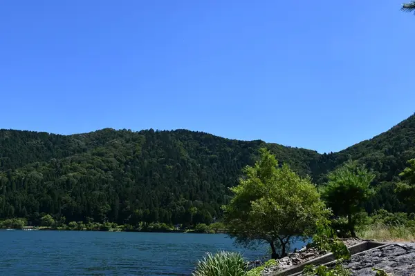 余呉湖の写真・動画_image_210840