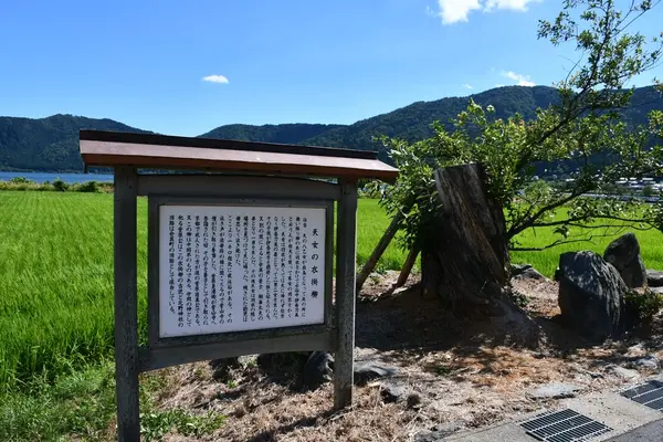 余呉湖の写真・動画_image_210844