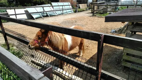 あじーるの写真・動画_image_210960