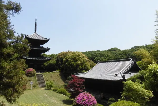 如意寺の写真・動画_image_210969