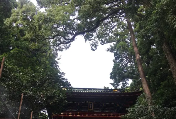 久能山東照宮の写真・動画_image_211100