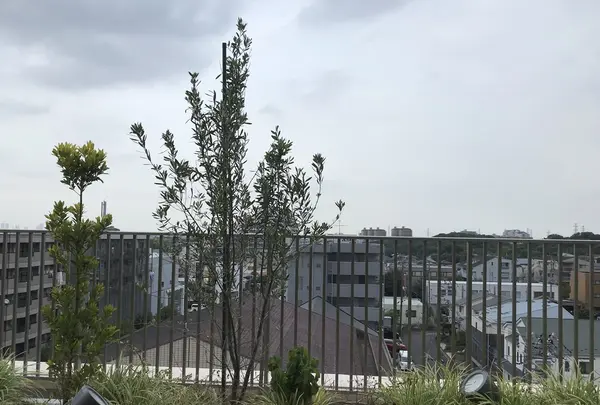 センター南温泉 湯もみの里の写真・動画_image_211308