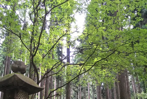 御岩神社の写真・動画_image_211459