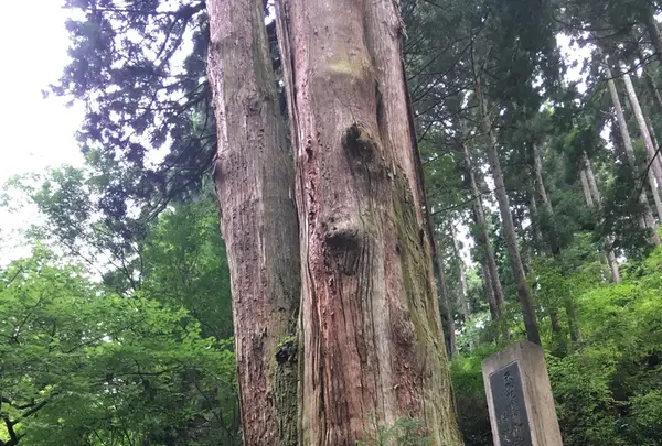御岩神社の写真・動画_image_211462