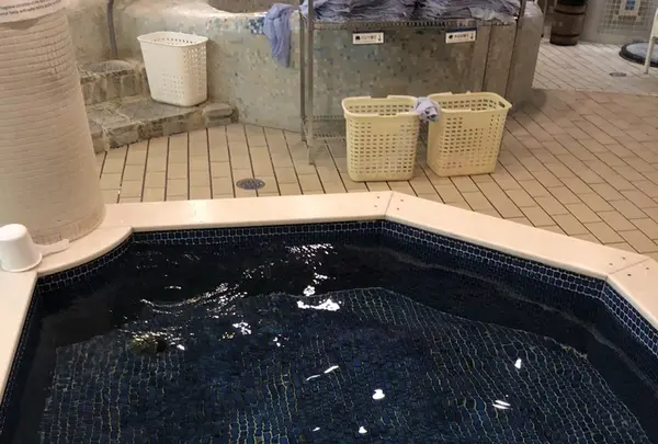 カバーナの写真・動画_image_211505