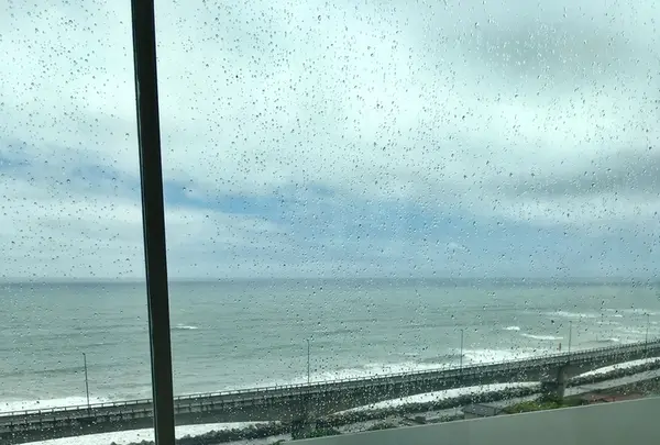 シーバーズカフェの写真・動画_image_211605