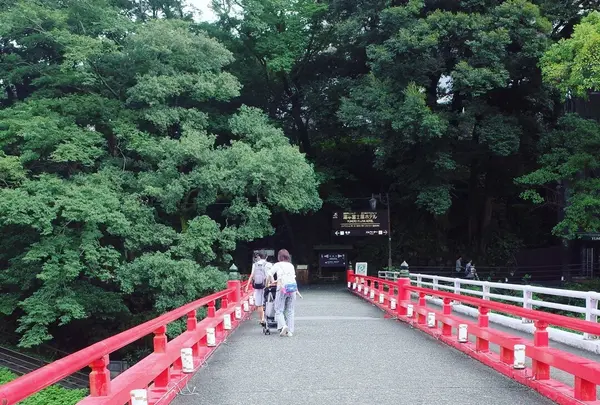 湯本富士屋ホテルの写真・動画_image_211633