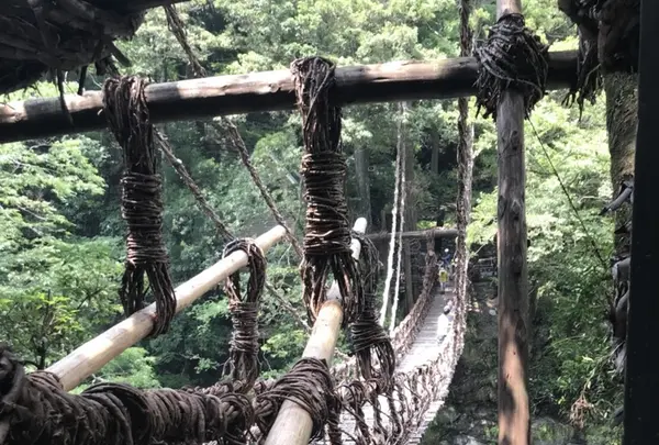 祖谷のかずら橋の写真・動画_image_211780