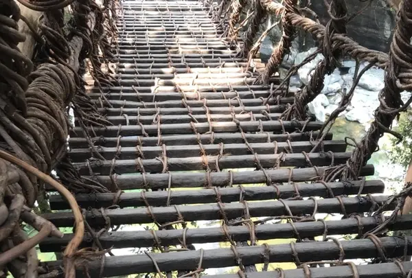 祖谷のかずら橋の写真・動画_image_211781
