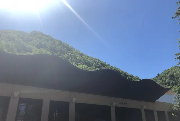 定山渓 鶴雅リゾートスパ 森の謌の写真・動画_image_211927