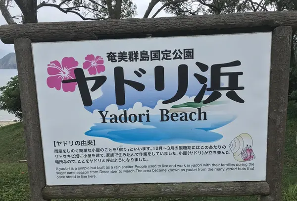 ヤドリ浜自然海水浴場の写真・動画_image_212077