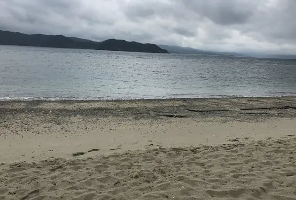 ヤドリ浜自然海水浴場の写真・動画_image_212078