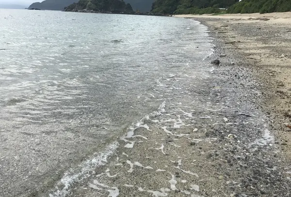 ヤドリ浜自然海水浴場の写真・動画_image_212079