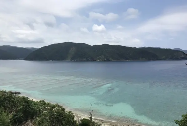 宮古崎の写真・動画_image_212095