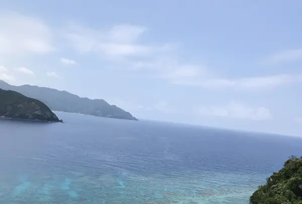 宮古崎の写真・動画_image_212096